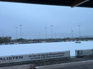 Sneeuw Veld 1